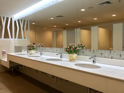 Wide Vanity Area